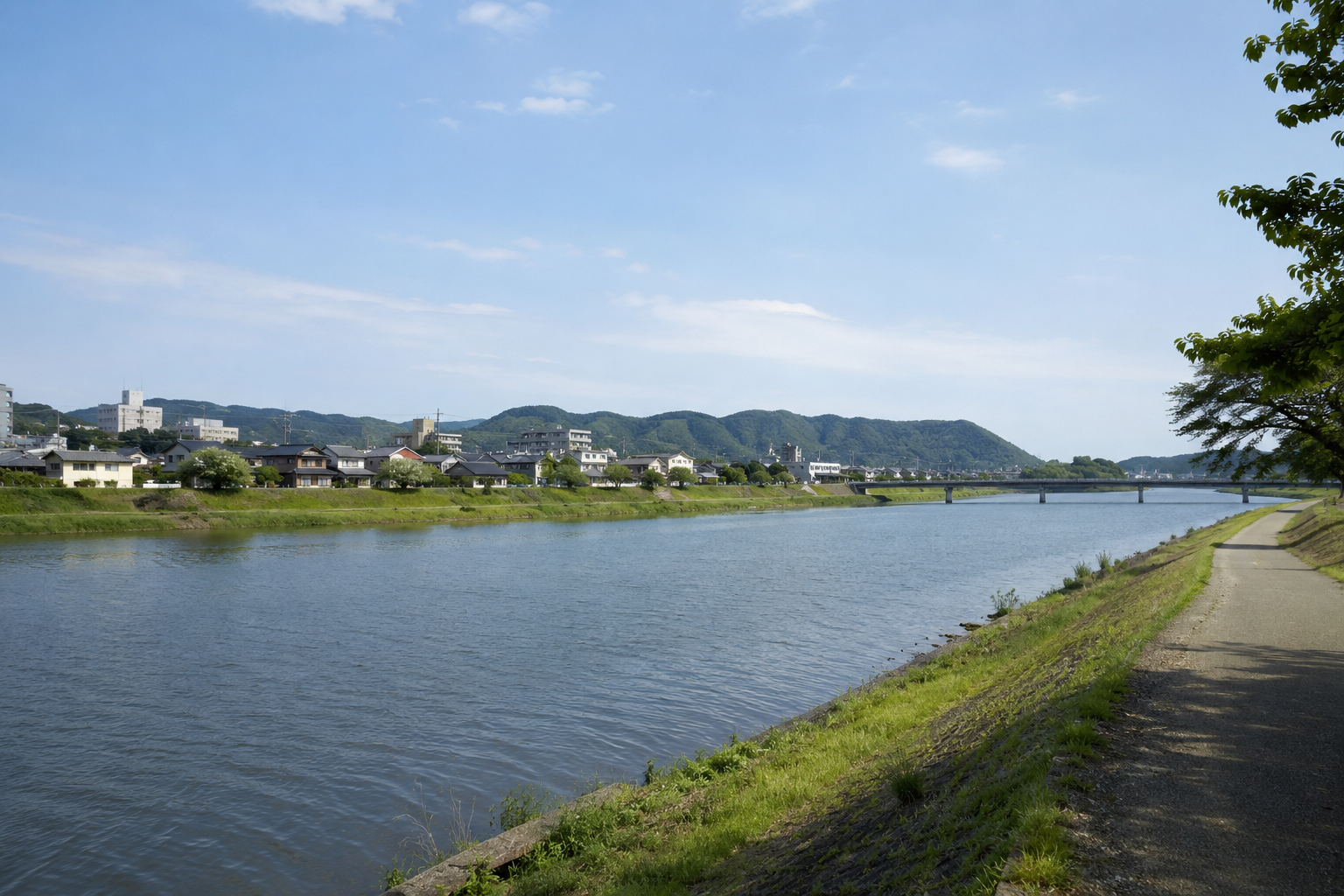 中津市の住みやすさを解説　交通と買い物を見据えた新築一戸建て