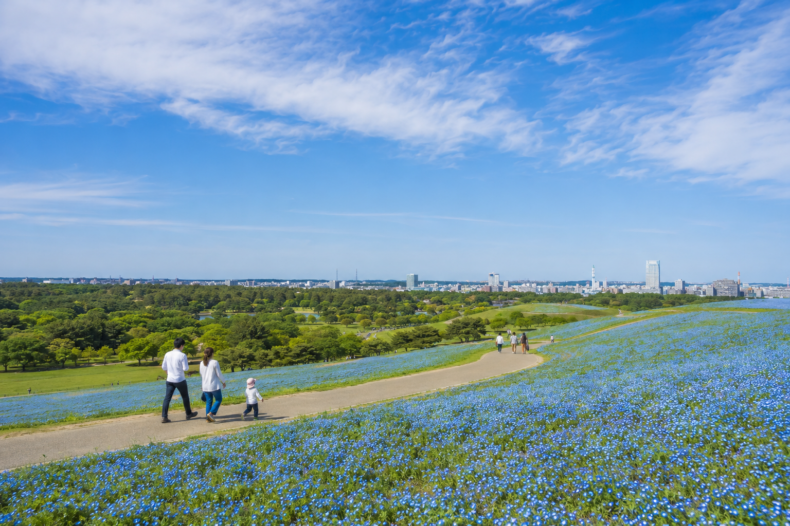 ひたちなか市の住みやすさは？交通・子育て・新築一戸建て向けエリアを解説