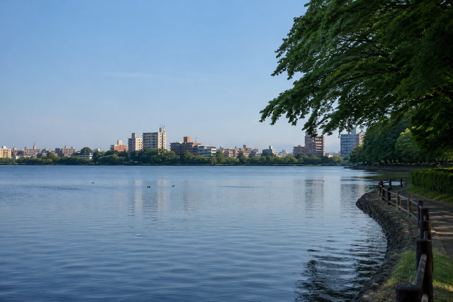 水戸市の住みやすさは？交通・子育て・新築一戸建て向けエリアを解説