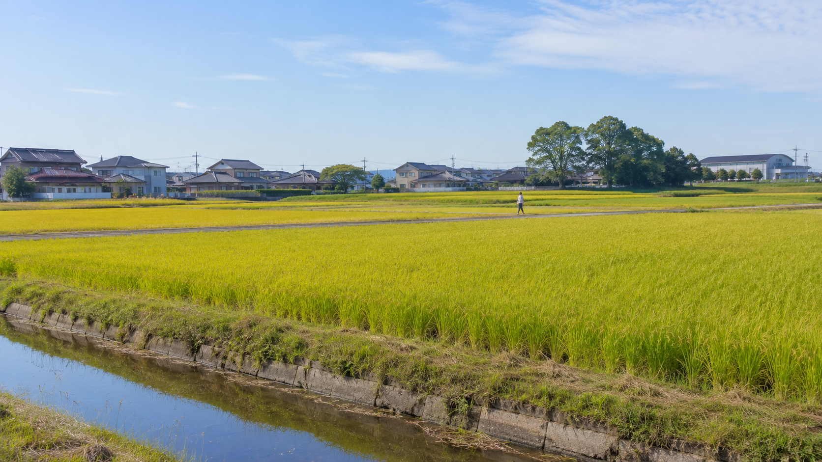 磯城郡川西町の住みやすさは？交通・子育て・新築一戸建ての選び方
