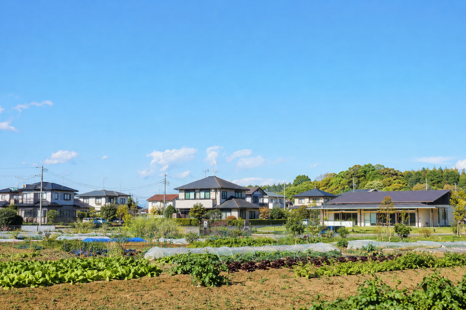富里市の住みやすさは？交通・子育て・新築一戸建て向けエリアを解説