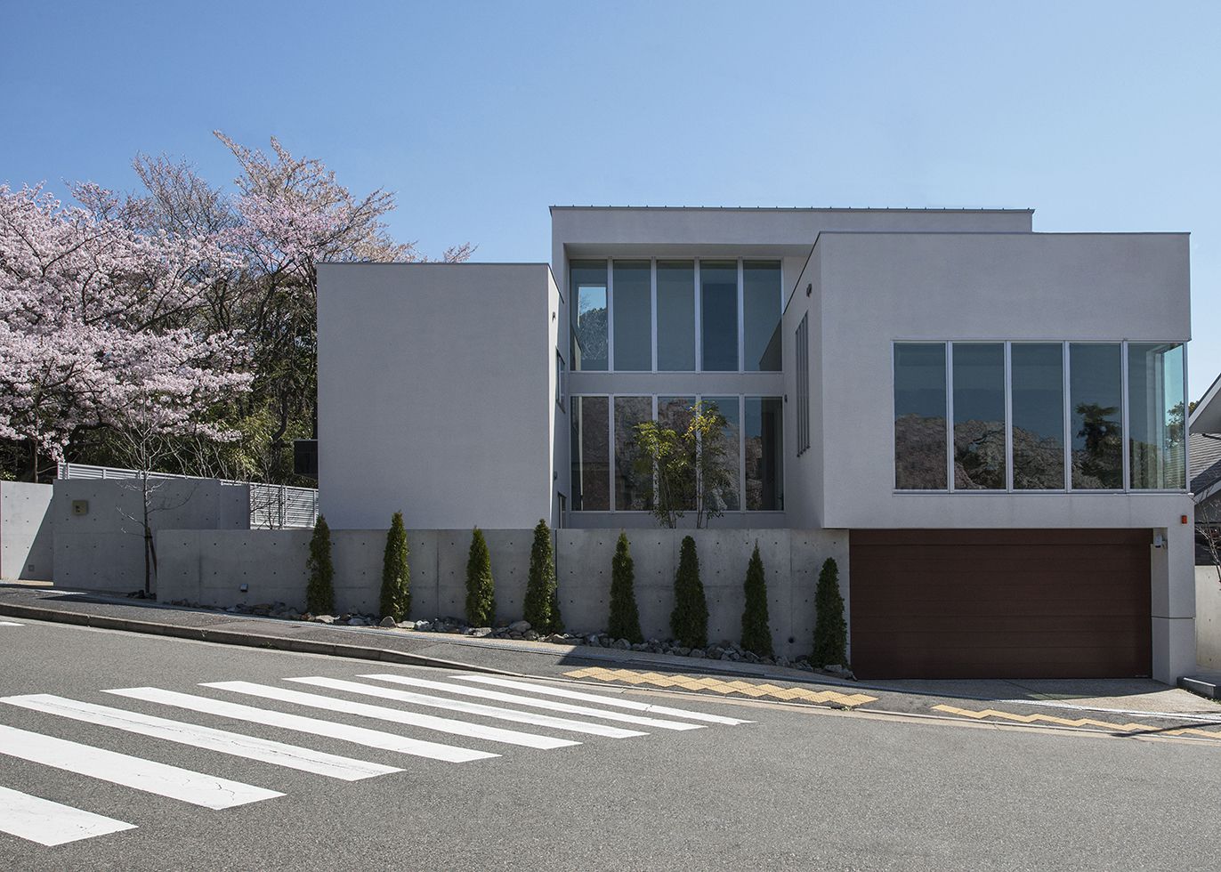 桜並木の家の写真
