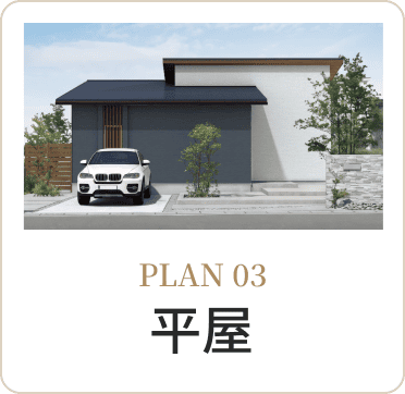 PLAN 03