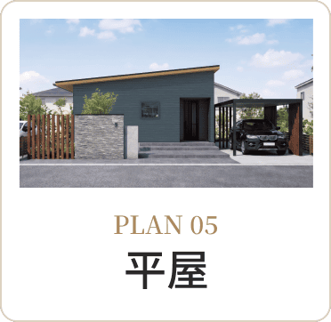 PLAN 05
