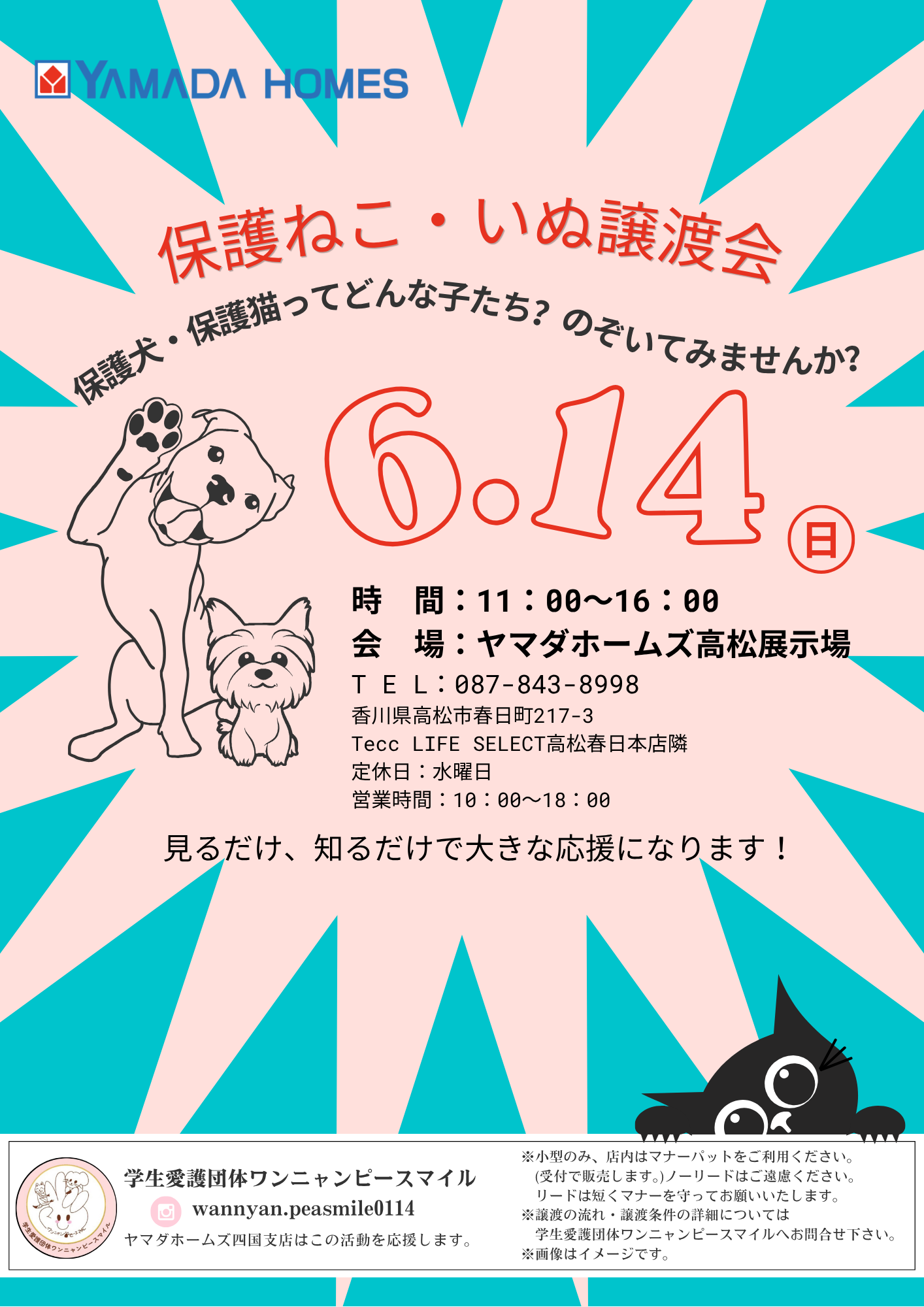 ご予約不要！】保護ねこ・いぬ譲渡会 - ヤマダホームズ / 公式サイト